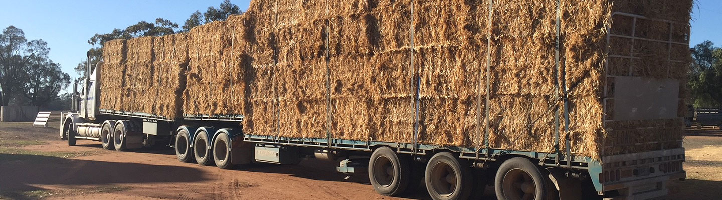 Truck with hay bales