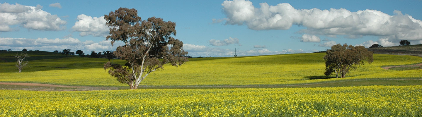Sustainability Strategy Banner
