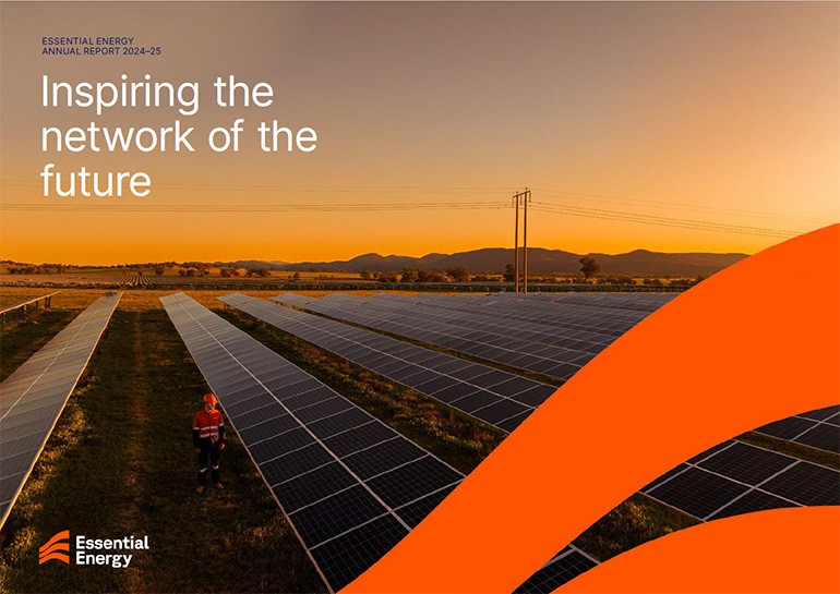 Worker standing in a field of solar panels