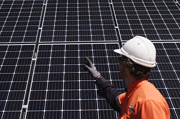 Sustainability Latest News