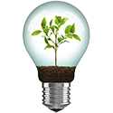 Lightbulb with small tree inside