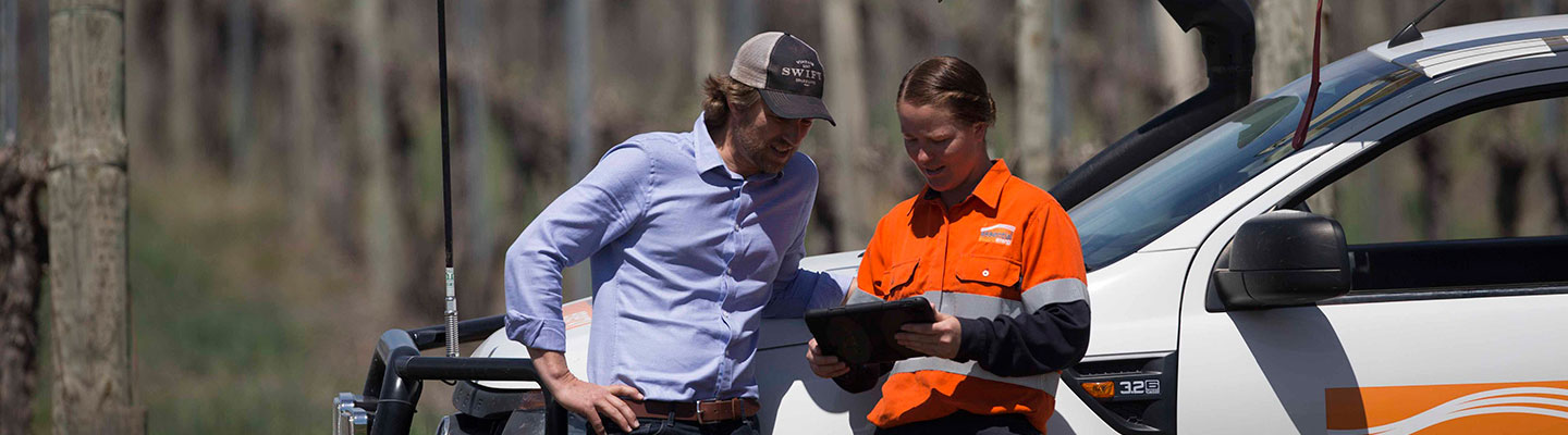 Providing advice at a vineyard