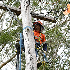 Jake working up a pole