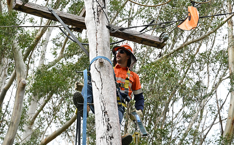 Jake working up a pole