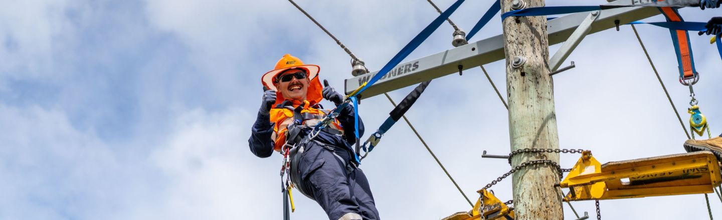 Worker up a pole