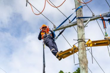 Worker up a pole