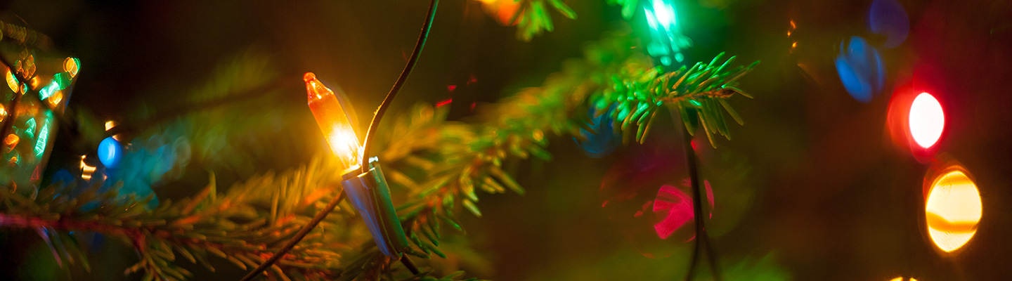 Lights on a Christmas tree