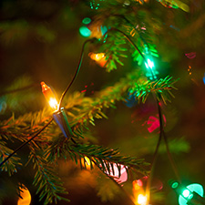 Lights on a Christmas tree