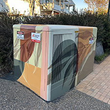 Jindabyne streetscape by Mike Shankster