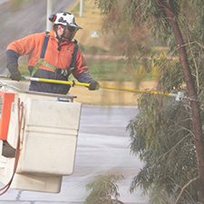Managing vegetation