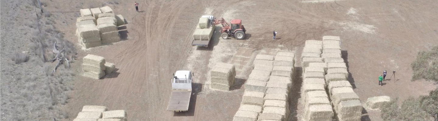 Hay bales viewed from the sky