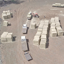 Hay bales viewed from the sky