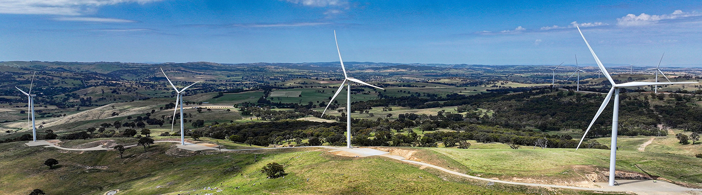 Flyers Creek Wind Farm