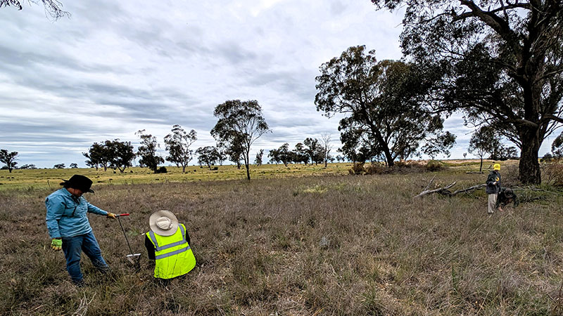 Murrimbidgee Landcare