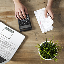 Laptop with calculator and plant