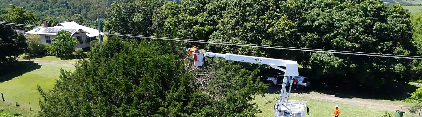 Worker trimming a tree from an elevated work platform
