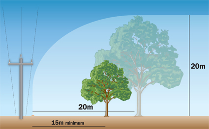 Distance to height rule for tree planting