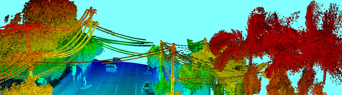LiDAR streetscape image