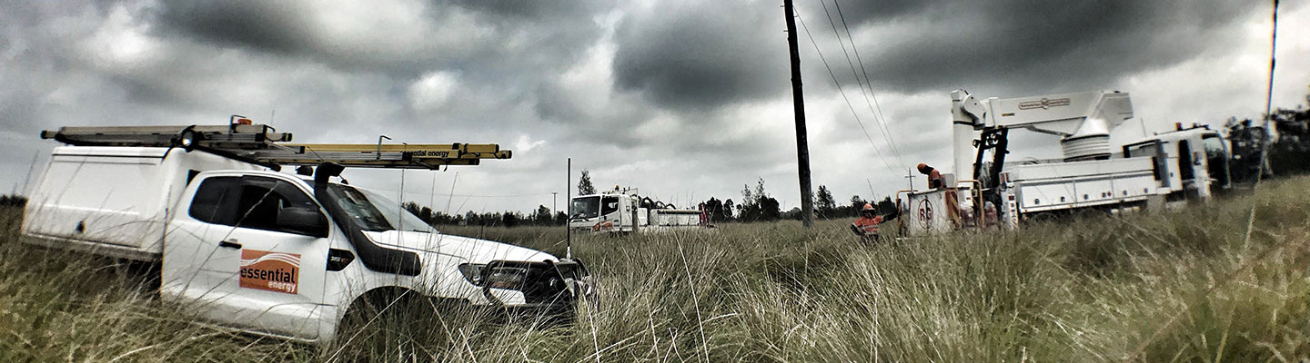 Trucks in a field