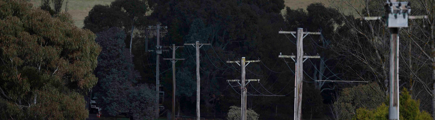 Row of power poles