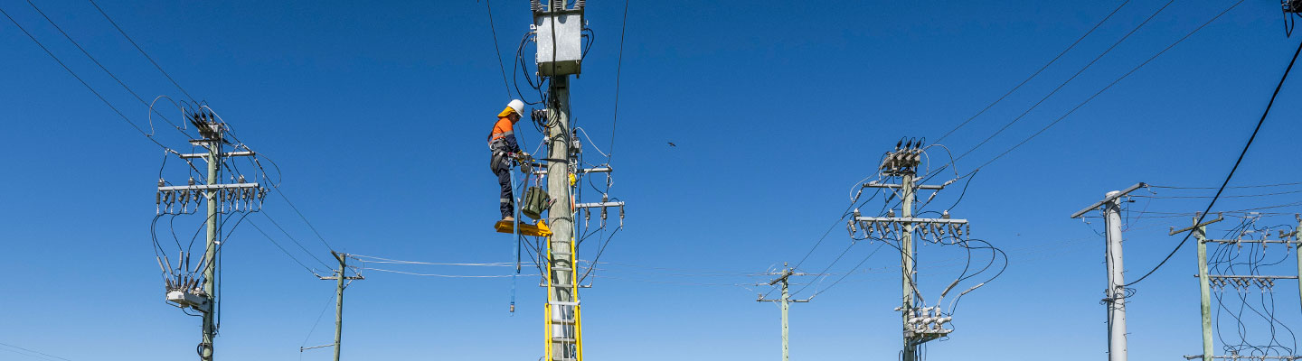 Worker up a power pole with multiple power poles in the background