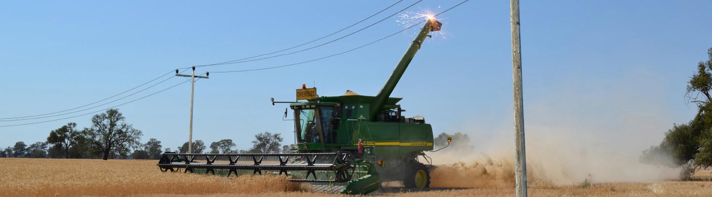 Graphic of harvesting