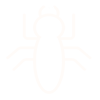 insect icon