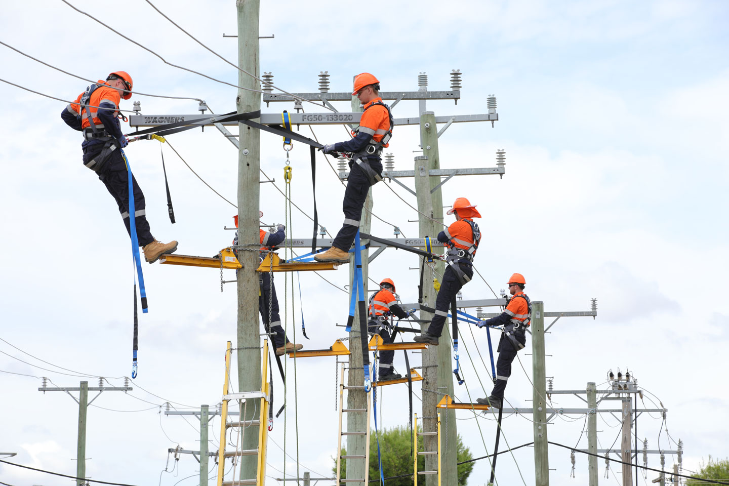 Apprentices conducting power pole maintenance exercise